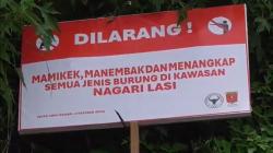 Warga Nagari Lasi Sumbar Tetapkan Sumpah Adat, Larang Tebang Pohon dan Berburu Burung<