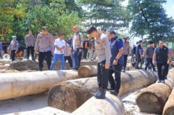 Kapolda Lampung Turun Langsung Cek Ribuan Kayu Gelondongan Terdampar di Pesisir Barat