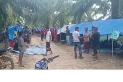 Rumah Hilang Disapu Banjir, Warga Aceh Utara 11 Hari Mengungsi di Kebun Sawit<