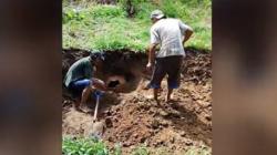 Warga Kepahiang Dikejutkan Penemuan Guci Tua Berisi 3 Tengkorak Manusia saat Cangkul Lahan<