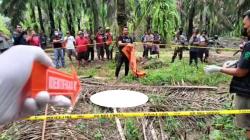Jasad Pelajar Ditemukan Mengenaskan di Perkebunan Sawit, Sempat Dilaporkan Hilang 9 Hari<