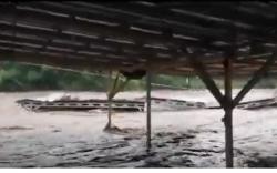 Banjir Luapan Sungai Bedadung Jember Rusak Jembatan dan Hanyutkan Atap Rumah