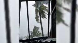 Hujan Disertai Angin Kencang Terjang Barru, 10 Rumah Rusak dan Pohon Tumbang