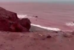 Heboh Laut di Iran Berubah Menjadi Merah Darah, Ini Sebabnya