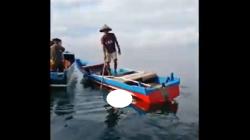 Bocah 10 Tahun di Halmahera Selatan Hilang Diterkam Buaya, Jasad Ditemukan di Laut<