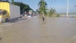 Banjir Kali Plalangan Kembali Rendam Jalan Nasional Lamongan, Lalu Lintas Tersendat