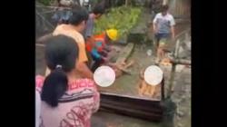 Tragis! Kabel PLN Putus, 2 Lansia di Pinrang Tewas Tersengat Listrik<