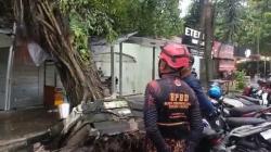 Angin Kencang Terjang Kotim, Atap Sekolah Terbang dan Pohon Tumbang<