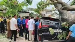 Pohon Besar Tumbang Timpa 2 Mobil di Hotel Bandar Lampung, 1 Orang Terluka Parah<
