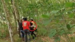 Tragis! Kepala Desa di Lampung Timur Tewas Terinjak Kawanan Gajah Liar<