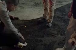 Viral Aksi Polisi Humanis di Bandung, Selamatkan Anak Kucing Terluka Diserang Anjing<