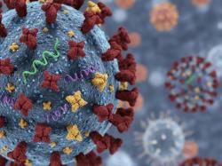 Influenza H3N2 Subclade K Masuk Indonesia, Kemenkes: Masih Terkendali