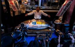 Top! Tuna Sirip Biru Laku Terjual Rp54 Miliar dalam Lelang di Tokyo