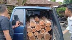 2 Pelaku Illegal Logging di Ngawi Ditangkap, Ratusan Kayu Jati Disita<