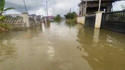 Banjir 2 Pekan Lumpuhkan Jalur Alternatif Banjar–Banjarbaru, Sebagian Warga Mengungsi<
