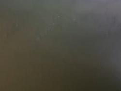 5 Penambang Emas Liar di Gunung Pongkor Bogor Keracunan Gas, Alami Sesak Napas-Pusing