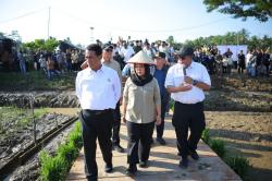 Hampir 100.000 Hektare Sawah Terdampak Bencana di Sumatra, Kementan Kebut Rehabilitasi<