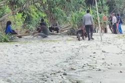 Geger! Mayat Perempuan Ditemukan di Pantai Malaka Lombok Utara, Kondisinya Mengenaskan<