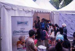 Gerakan Sterilisasi Kucing Ajak Masyarakat Wujudkan Cinta Lewat Tindakan