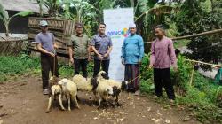 MNC Peduli, MNC Tourism dan KEK MNC Lido City Dorong Kemandirian Ekonomi Pesantren dengan Beri 5 Bibit Kambing