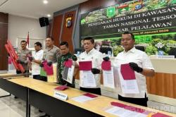 Polda Riau Tangkap 3 Penguasa Kebun Sawit Ilegal di Tesso Nilo, Kuasai 270 Hektare Lahan<