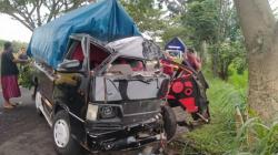 Pikap Hantam Pohon di Bangkalan, 1 Orang Tewas 2 Luka-Luka<