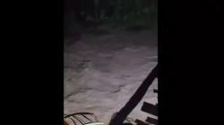 Banjir Bandang Terjang Desa Badean Jember, Rumah Rusak 1 Orang Hanyut