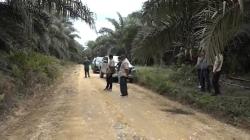 Ninja Sawit Beraksi, Sekuriti Perusahaan di Pelalawan Ditembak