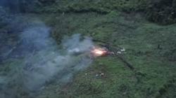 112 Hektare Ladang Ganja di Gayo Lues Dibabat Habis, 56 Orang Ditangkap<