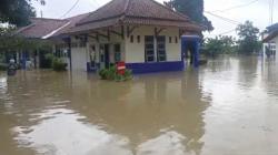 Banjir Pemalang, Ratusan Rumah dan Pabrik Terendam akibat Luapan Sungai Rambut<