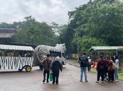 Taman Margasatwa Ragunan Perketat Aturan Night at the Zoo, Pengganggu Satwa-Pelaku Asusila bakal Diusir