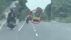 Viral! Truk Kayu Ugal-ugalan di Lumajang, Sopir Ditangkap Kendaraan Ditahan Polisi 30 Hari<