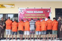 Polda Papua Musnahkan Ganja 6,3 Kg, Rencana Dikirim ke Merauke hingga Ambon<