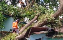Hujan Badai Terjang 21 Desa di Purbalingga, Ratusan Rumah Rusak 1 Pemotor Terluka<