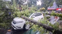 Hujan Angin di Bandung Tumbangkan Puluhan Pohon, Sejumlah Kendaraan Rusak Tertimpa<