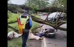 Satu Keluarga di Magetan Tertimpa Pohon Tumbang usai Beli Baju Lebaran, Anak Tewas<