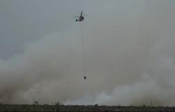 Karhutla di Riau Meluas, BNPB Catat 2.713 Hektare Ludes Terbakar<