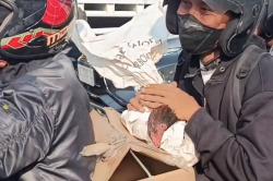 Unik! Pemudik Motor Bawa 8 Ayam Jago ke Brebes, Takut Hilang Ditinggal<