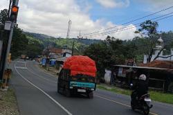 Pemudik Diimbau Pulang Lebih Awal Hindari Macet, Jangan Tunggu Puncak Arus Balik<