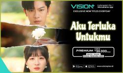 Rekomendasi Dracin Aku Terluka Untukmu, Microdrama Romantis di VISION+