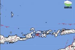 Gempa Hari Ini Magnitudo 3,8 Guncang Larantuka Flores Timur, Terasa Cukup Kuat