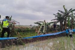 Kronologi 2 Warga Pemalang Tersambar Petir saat Tahlilan di Kuburan, 1 Tewas 1 Kritis<