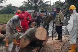 Hujan Badai Terjang Sukabumi, Jalur KA Sempat Lumpuh Tertutup Pohon Tumbang<