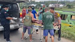 Elf Bawa Rombongan Takziah Kecelakaan di Tuban, 1 Orang Tewas 12 Luka-Luka<