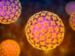 Mungkinkah Hantavirus Jadi Pandemi Baru? Ini Jawaban Ahli Epidemiologi