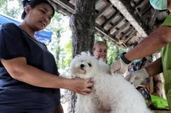 1.767 Hewan Divaksin Rabies di Jaksel: Kucing, Anjing hingga Kera