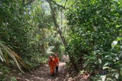 Dramatis! Tim SAR Diterjang Lava Pijar Erupsi Gunung Dukono saat Cari 2 WNA Hilang<