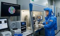 Terdeteksi Ditemukan di Indonesia, Pakar Sebut Hantavirus Bukan Hal Baru