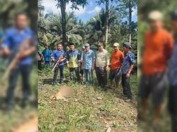 Geger! Anjing Gila Positif Rabies Gigit 8 Warga di Maros, Akhirnya Ditembak Mati<