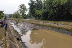 Kronologi 2 Bocah Kakak Adik Tenggelam di Kubangan Sungai Bodri Kendal Sedalam 2 Meter<